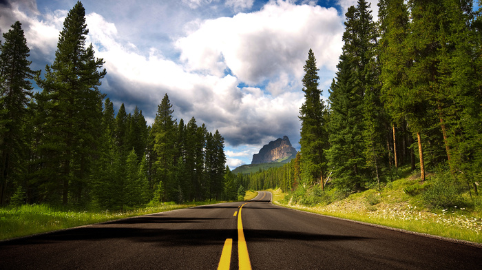 road, trees, landscape, forest, banff national park, nature, Canada, sky, mountain