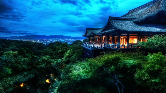forest, night, blue, trees, Asia, HDR, architecture