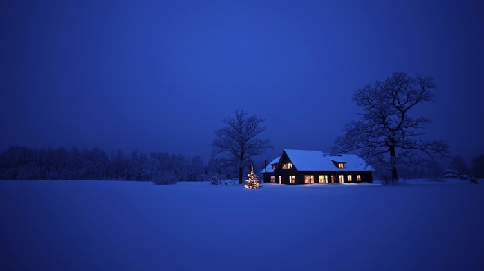 landscape, night, trees, snow, house
