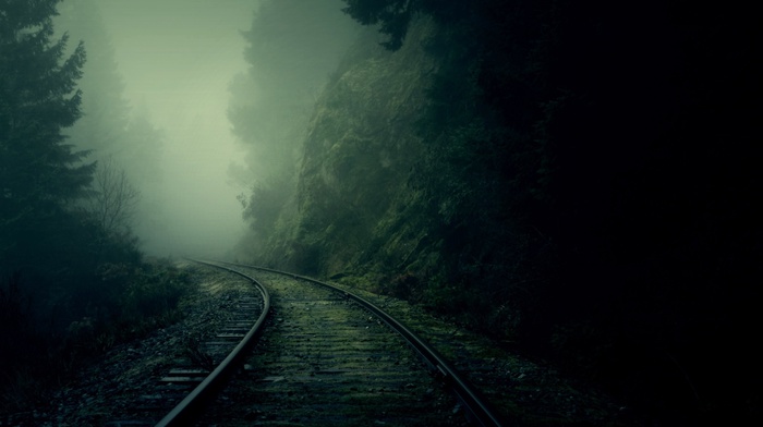 dark, railway, forest, mist