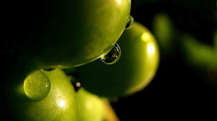 green, drops, delicious