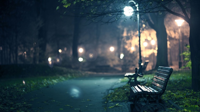 bench, nature