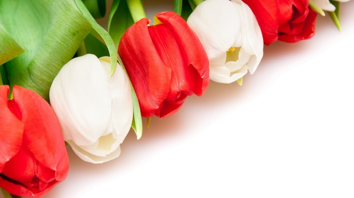 white, red, flowers