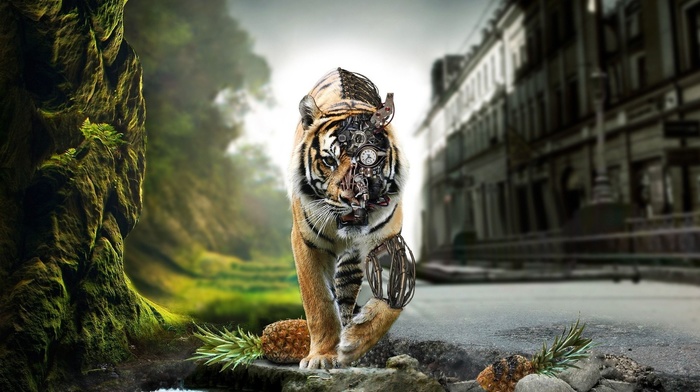 animals, fantasy art, tiger