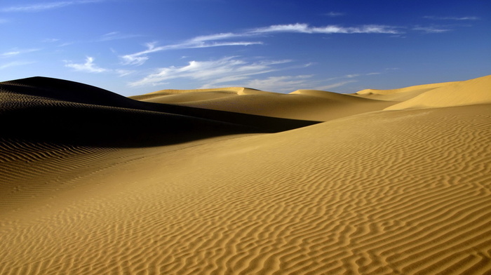 desert, nature