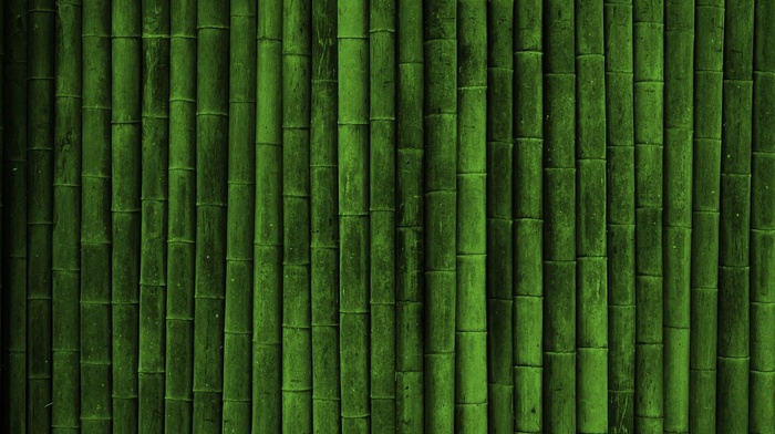 bamboo, green, realistic