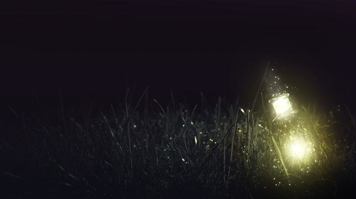 night, lights, grass