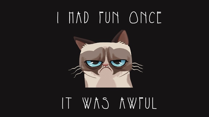 cartoon, cat, humor, Grumpy Cat