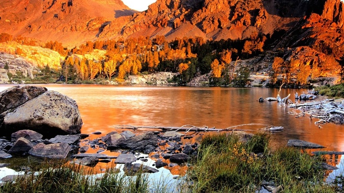 nature, rocks, river, stones