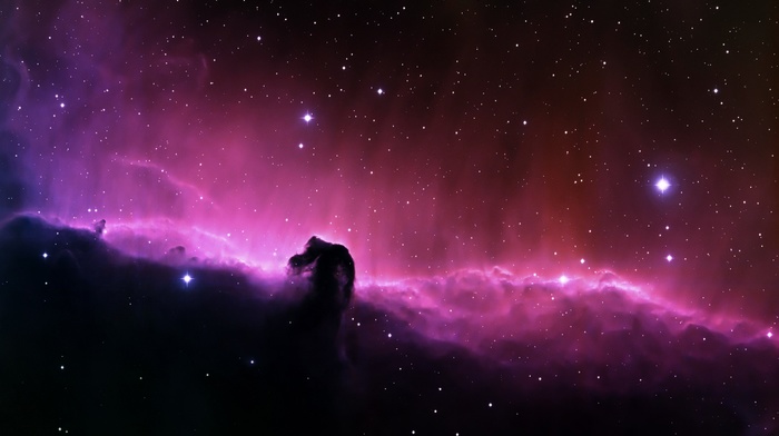 space, Horsehead Nebula, nebula