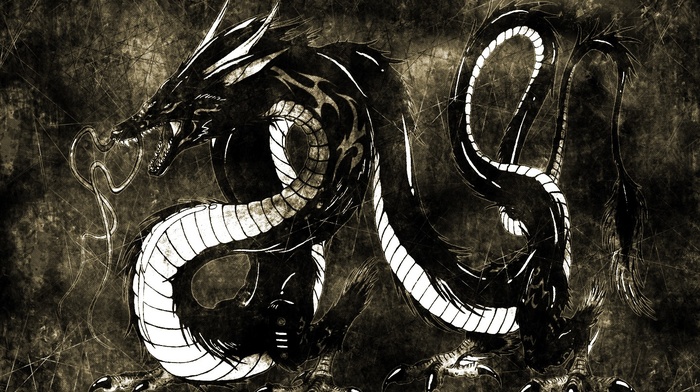 black, white, dragon