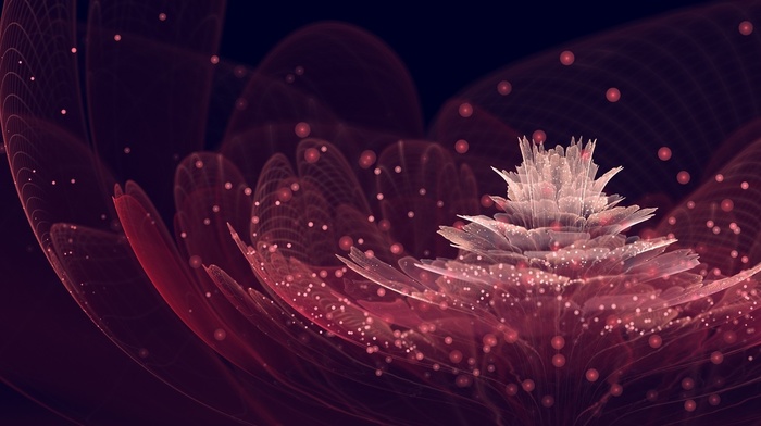 flowers, fractal flowers, abstract