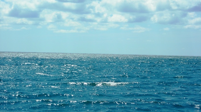 summer, water, clouds, azure