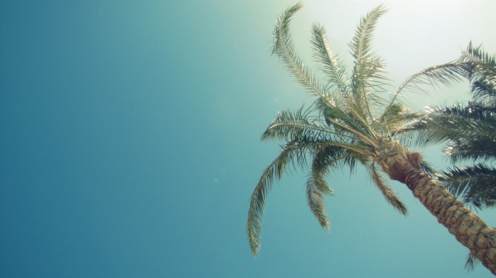 Sun, summer, sky