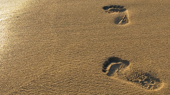 light, sand, summer