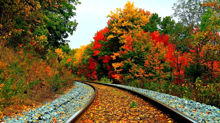 fall, railway