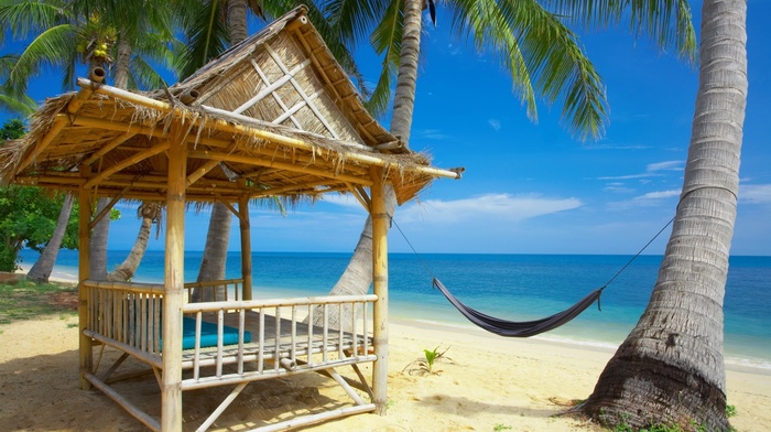 palm trees, summer, sea