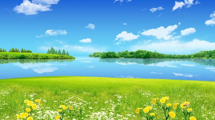 lake, summer, flowers, grass