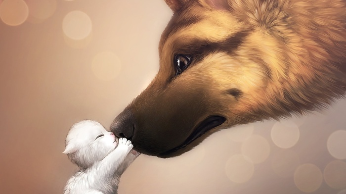 animals, 3D, puppy