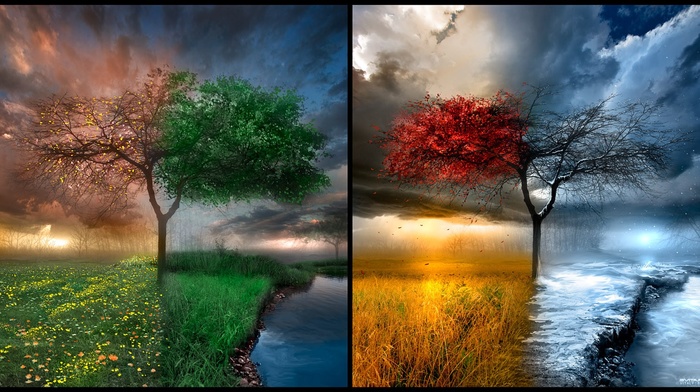 water, landscape, trees, clouds, seasons