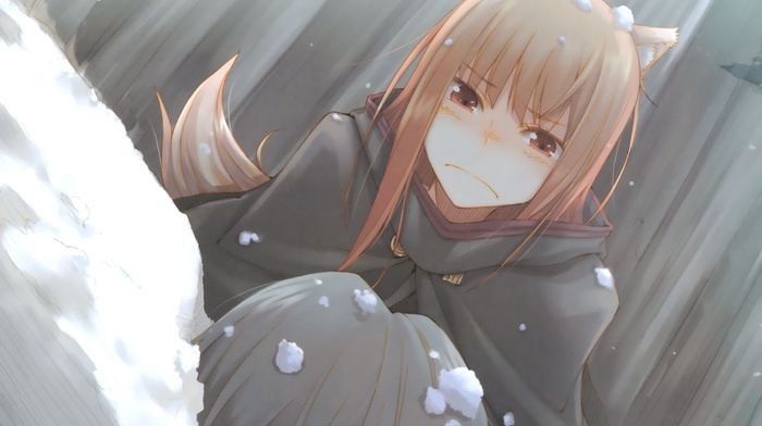 anime girls, Holo, anime, Spice and Wolf, snow