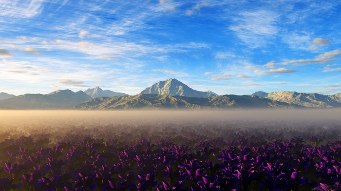 mountain, purple flowers, nature, landscape, flowers