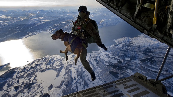 soldier, mountain, dog, lake, airplane, landscape