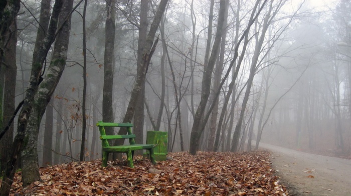 leaves, nature, path, bench, mist, trees