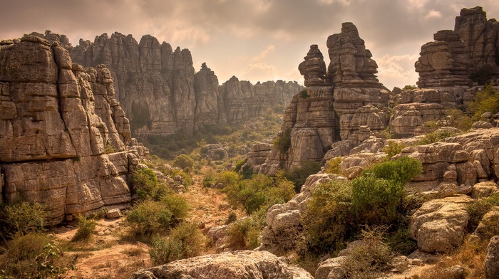 rock, nature