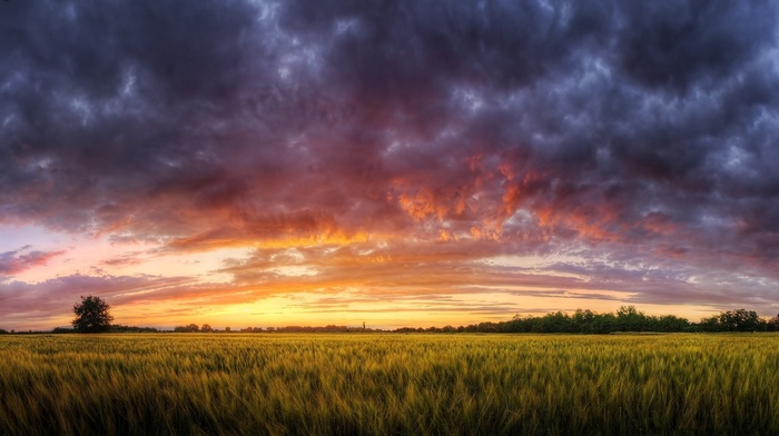 landscape, nature, summer, sunset, HDR