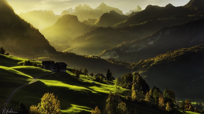 nature, landscape
