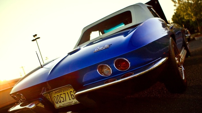 cars