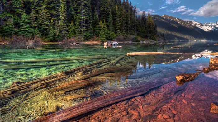 landscape, trees, nature, river, forest, HDR