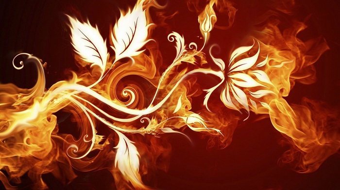 vectors, fire, leaves