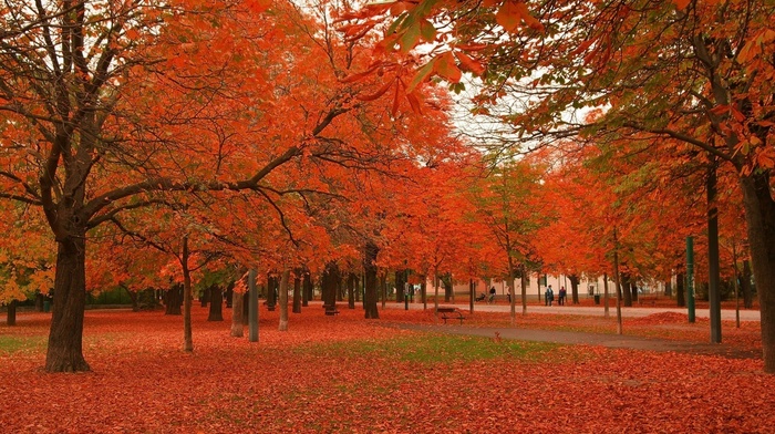 autumn, park