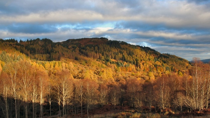 mountain, autumn