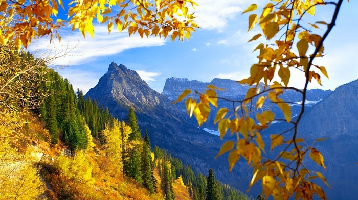 mountain, autumn