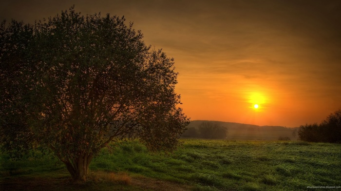 nature, sunset