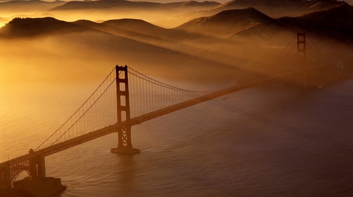 nature, bridge