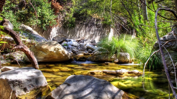 creek, nature