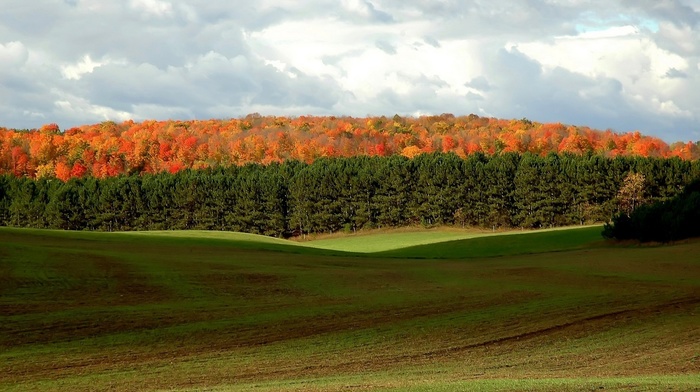 nature