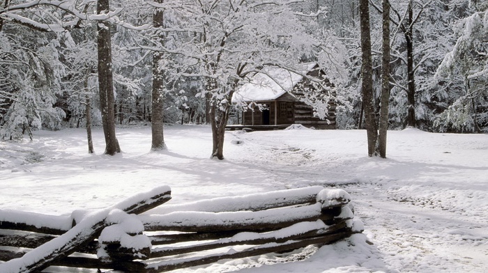snow, winter