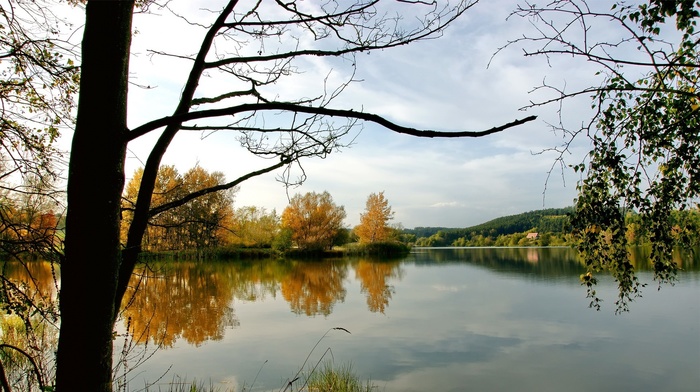 autumn, wildlife