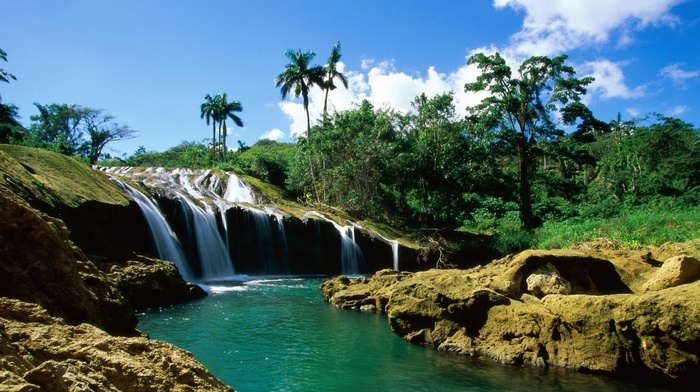 nature, palm trees, stones, waterfall