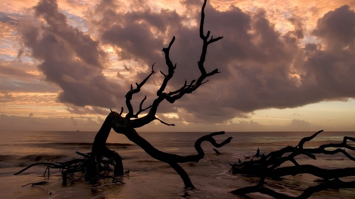 clouds, landscape, driftwood, sea