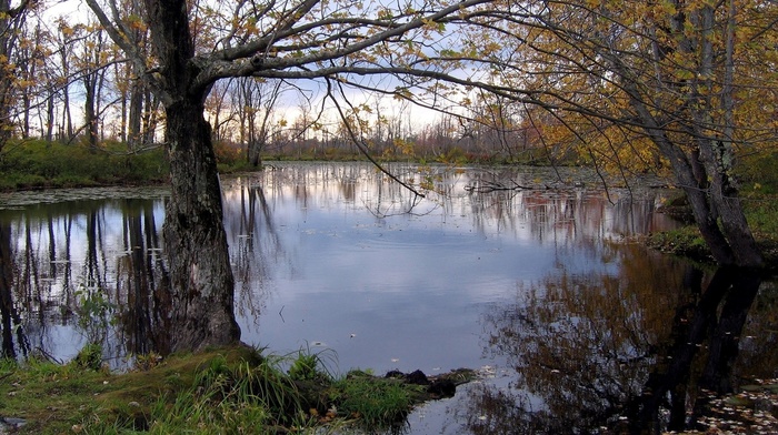 autumn, lake