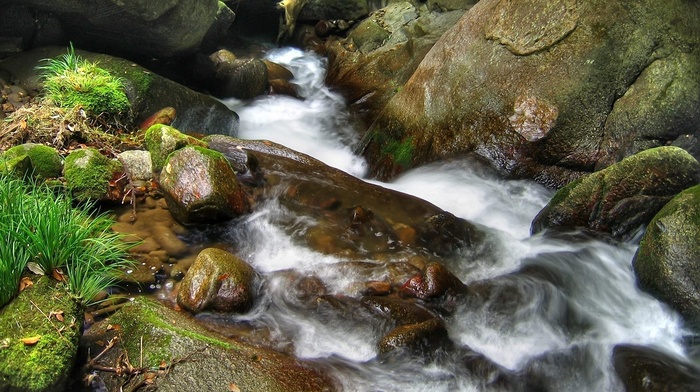 nature, stones