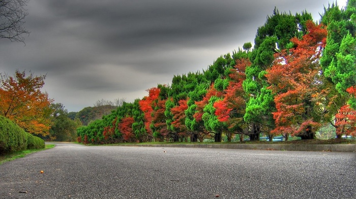 red, autumn, green