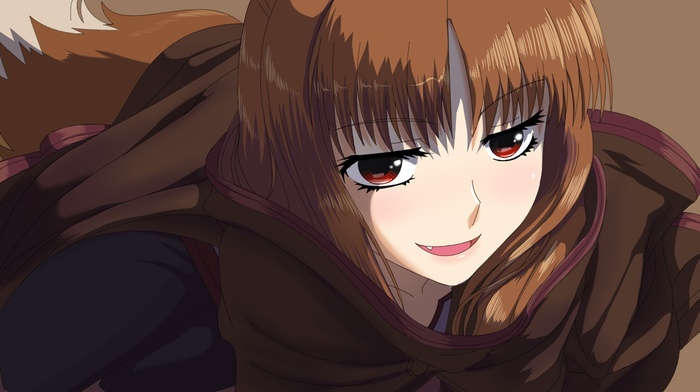 anime, Holo, Spice and Wolf