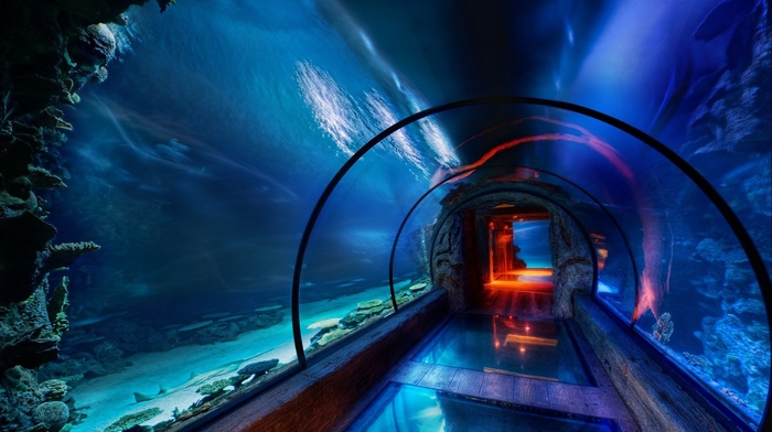 stunner, underwater, tunnel